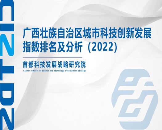 尻逼直播免费看【成果发布】广西壮族自治区城市科技创新发展指数排名及分析（2022）